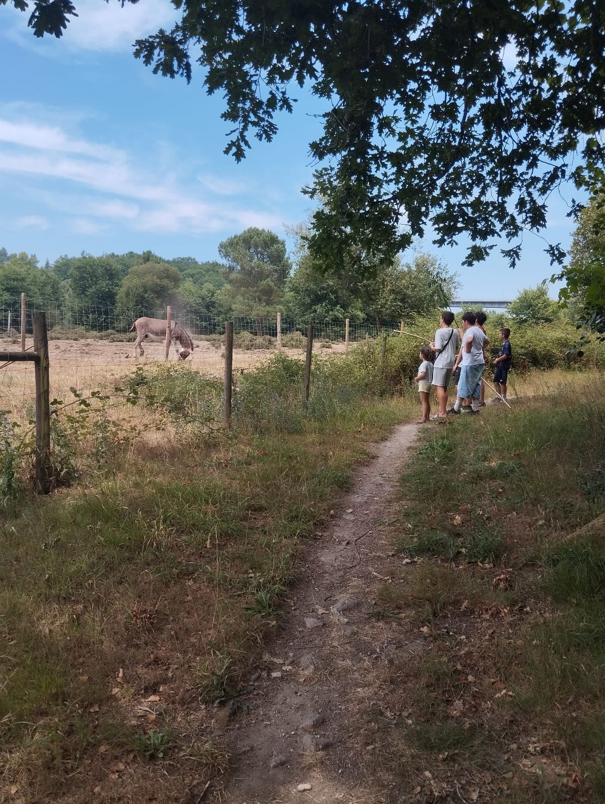 Passeios pela natureza